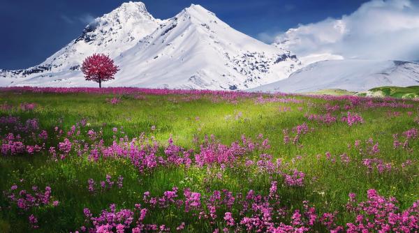 vara iarna in loc de patru anotimpuri florinela georgescu aceasta este explicatia