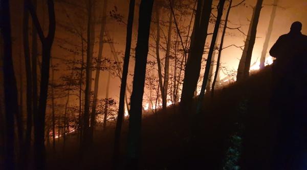 incendiu de padure in judetul sibiu zeci de pompieri intervin