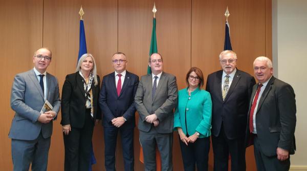 romania   irlanda  cooperare in domeniu educatiei  invitatie lansata de sorin cimpeanu