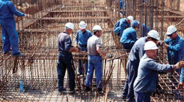 marilen pirtea impas alarmant in evolutia fortei de munca