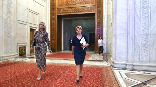 oprea in psd ce zice lia olguta vasilescu