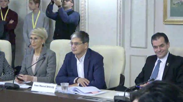 alina tanasescu ludovic orban desconsidera institutiile statului