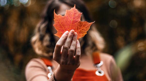 anm prognoza meteo 4 17 noiembrie pana cand e vreme calda