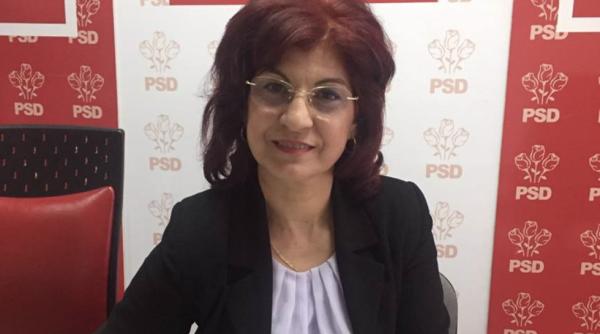 elena haratau desfiinta pnl cu cateva ore inainte sa voteze guvernul orban se va repeta istoria noul pdl