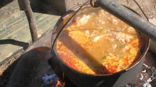 tocanita de pui ca la mama acasa reteta simpla