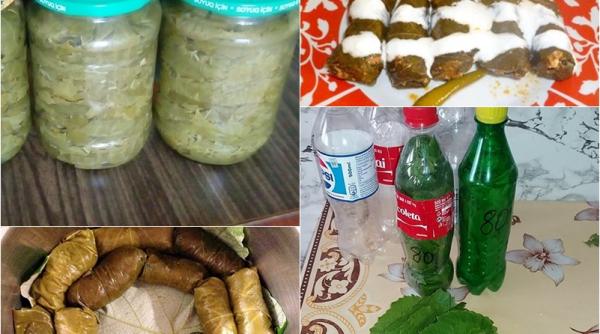 cum pui frunzele de vita de vie la pastrare pentru iarna