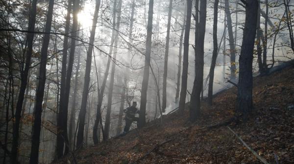 incendiu de padure in zona valea morii varful magura judetul sibiu