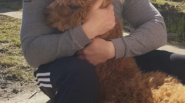 caramitru jr il ia la misto pe godina o sa imi cumpar si eu un hipopotam e mai simplu decat sa iti bati mintea sa scrii