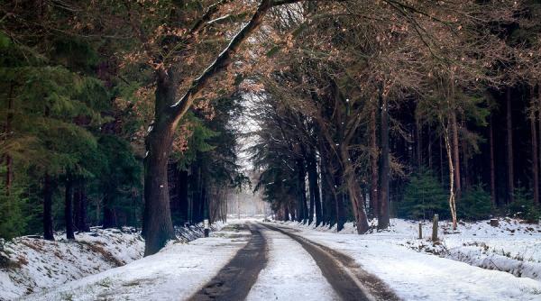 prognoza meteo pentru iarna vreme mai calda anuntata de anm