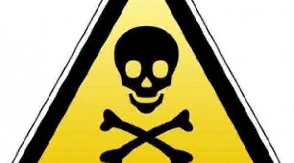 caz timisoara deratizare sau dezinsectie dr radu tincu masuri toxiinfectii