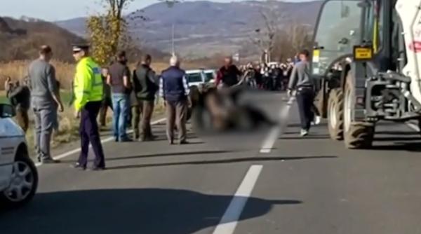 urs lovit de masina 18 ore de agonie pe sosea radu tudor scene de evul mediu