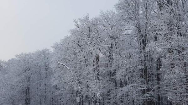 alerta meteo imaginile zilei iarna in toata regula pe transfagarasan video
