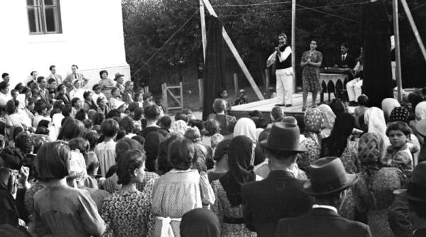 campanii electorale in romania detalii greu de imaginat de la firul ierbii de acum 100 de ani