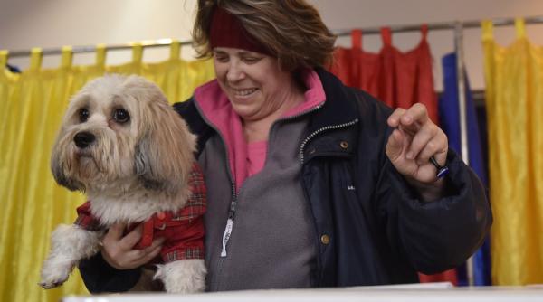 atac la diaspora la fel ca punctul 8 cifrele sunt identice