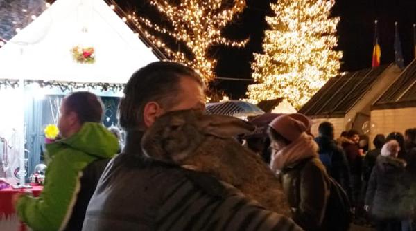 premiera la targul de craciun din cluj 2019 aparitia care a atras pe toata lumea reportaj foto