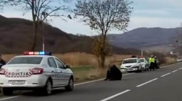 masina noua pentru soferul care a lovit ursul de la covasna