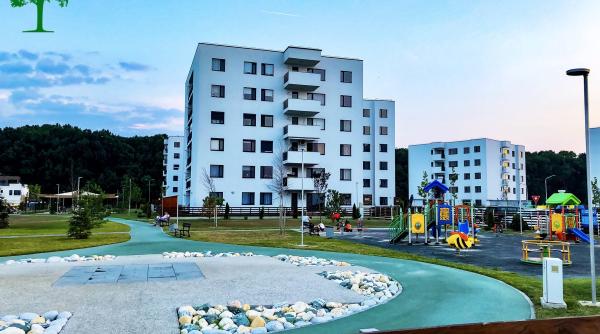 tudorache anunt soc ordin sa fie inchis drumul spre greenfield