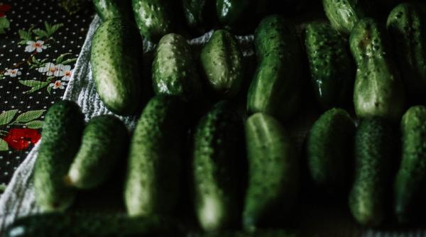 nutritionistul mihaela bilic ce nu stiai despre gogonele castraveti gogosari conopida