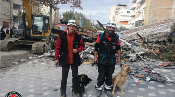 cainii salvatori din romania cauta victimele cutremurului din albania