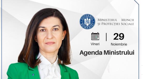 vasilcoiu arata gafa violetei alexandru asa scrie despre ea insasi