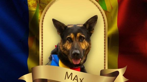 monument dedicat cainilor de serviciu