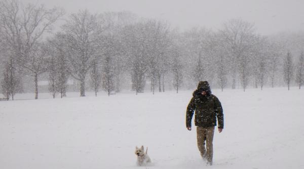 anm prognoza meteo pentru doua saptamani cand vin ninsorile