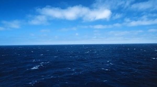 oceanele in pericol din cauza modificarilor climatice raman fara oxigen
