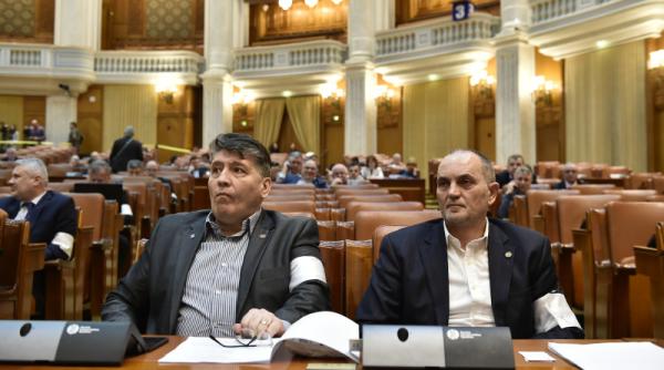 leoreanu pnl proiect de lege conducerea asf este automat demisa