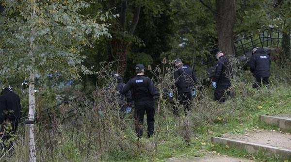 un baiat de 13 ani a fost arestat fiind acuzat de viol asupra unei femei de 30 de ani