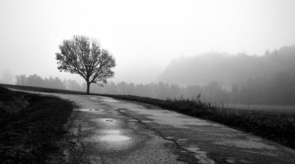 anm prognoza meteo cod galben zonele vizate joi 19 decembrie