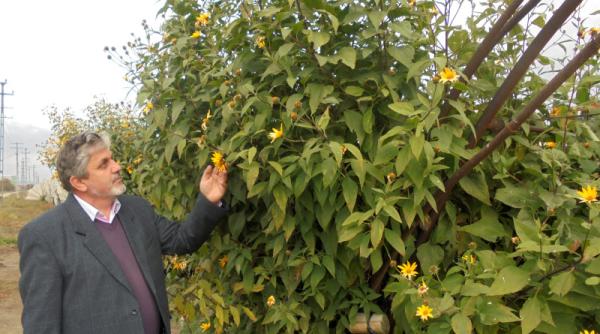 costel vanatoru a rabufnit dupa ce pnl l a decapitat imi pare rau ca n am plecat din romania m a jignit nu cred ca meritam acest lucru video