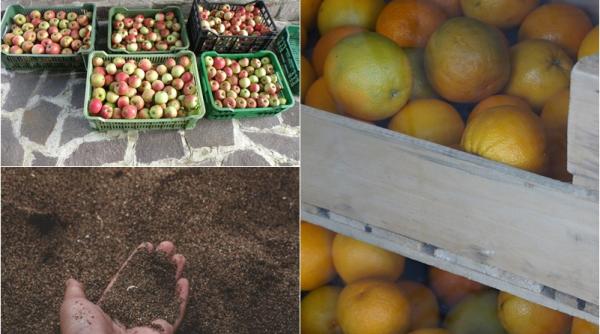 de ce sa pui fructele intr o lada cu nisip iarna trucul nestiut pana acum este extrem de eficient