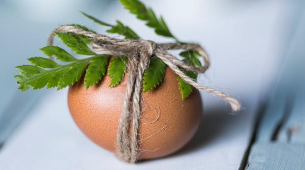 oua umplute in cat mai multe variante nutritionist nu doar cu pate de ficat se fac