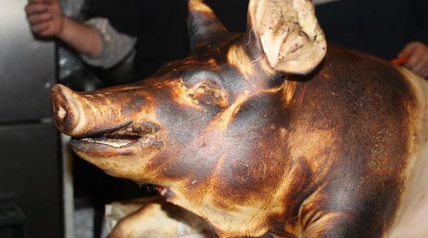 roman din diaspora gluma geniala petitie online pentru parlitul porcului in parcare