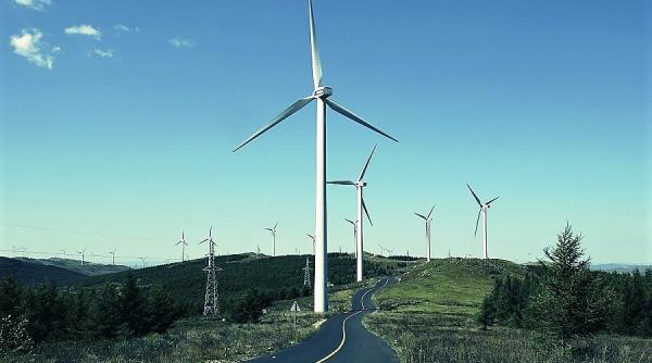 energie verde in romania cum ajuta anm afacerea cu eoliene video