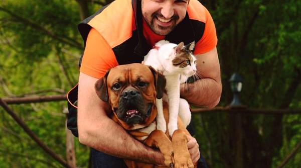 animalele de companie expuse la traume din cauza artificiilor tudor ionescu sfaturi pentru protejarea prietenilor necuvantatori