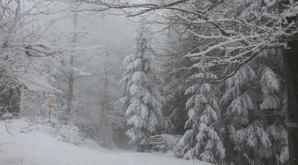 anm a emis cod galben de vant puternic si ninsoare zonele vizate astazi 29 decembrie 2019