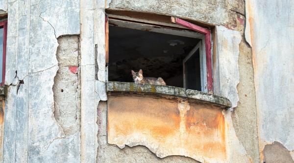 cladirile degradate supraimpozitate cu pana la 500prc