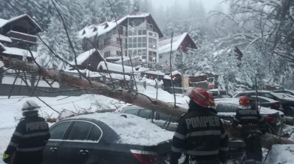masini avariate la predeal copaci rupti din cauza vantului puternic