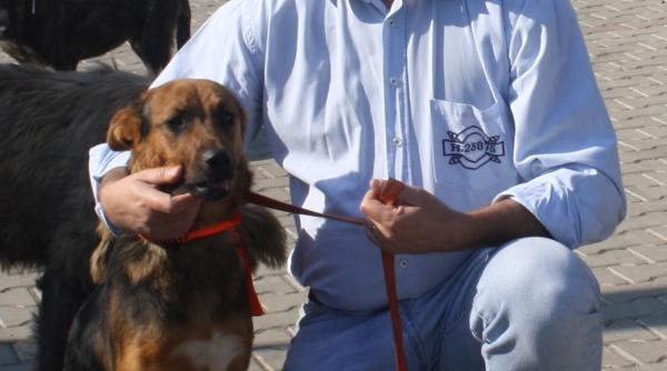 razvan constantinescu scena dureroasa de revelion efect devastator era plina de sange