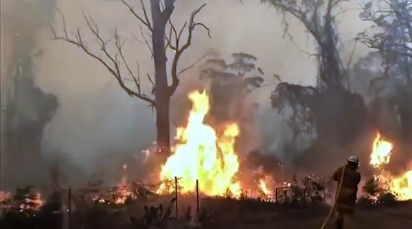 a fost decretata stare de urgenta in australia