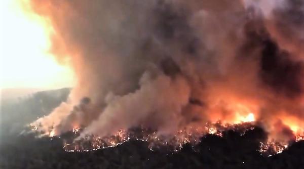 fumul provocat de incendiile din australia ar putea face inconjurul lumii