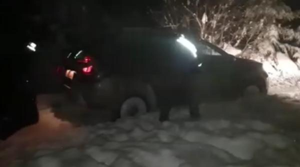 video turisti inzapeziti la cabana susai jandarmii au intervenit in toiul noptii