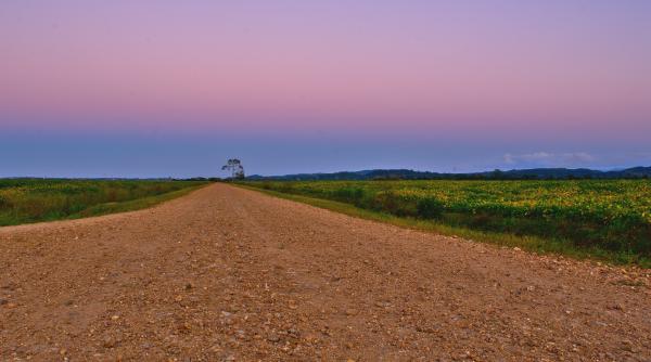 cadavrul unui barbat de 47 de ani gasit pe un drum forestier politistii fac investigatii