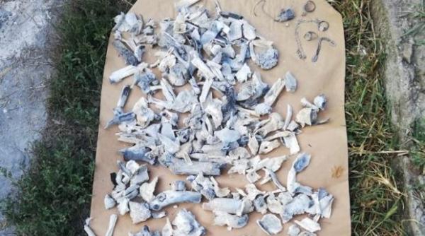 inml vs fbi obirsanu detaliu socant diferenta dintre expertize