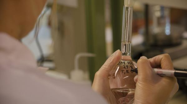 problemele de fertilitate vor fi tratate gratuit in ungaria