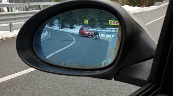 caine impuscat in fata unui copil politia anunta o rasturnare de situatie marinescu cere arestarea barbatului