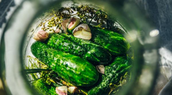 castraveti murati reteta din viscri satul unde printul charles are casa