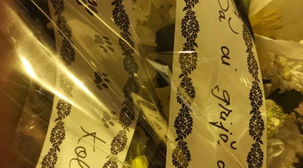 clipe grele la capataiul cristinei topescu mesajul lui marius chirca kola kariola iti jur ca voi avea grija