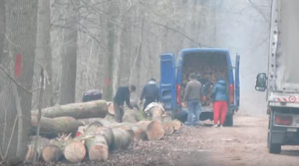 ministrul mediului padurea baneasa aflata in proprietatea statului va deveni padure de protectie